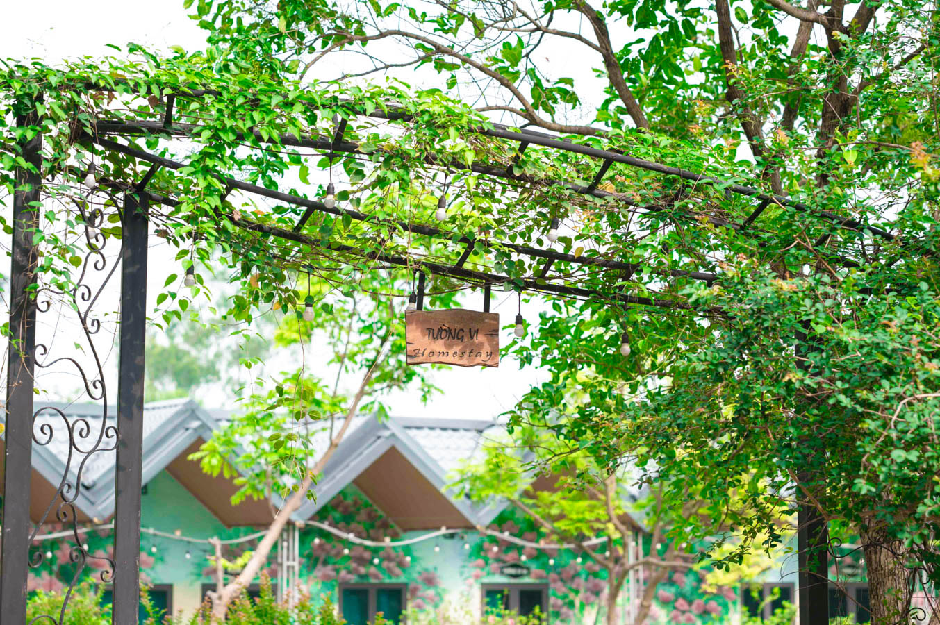 Dorm Tường Vi – ảnh 3